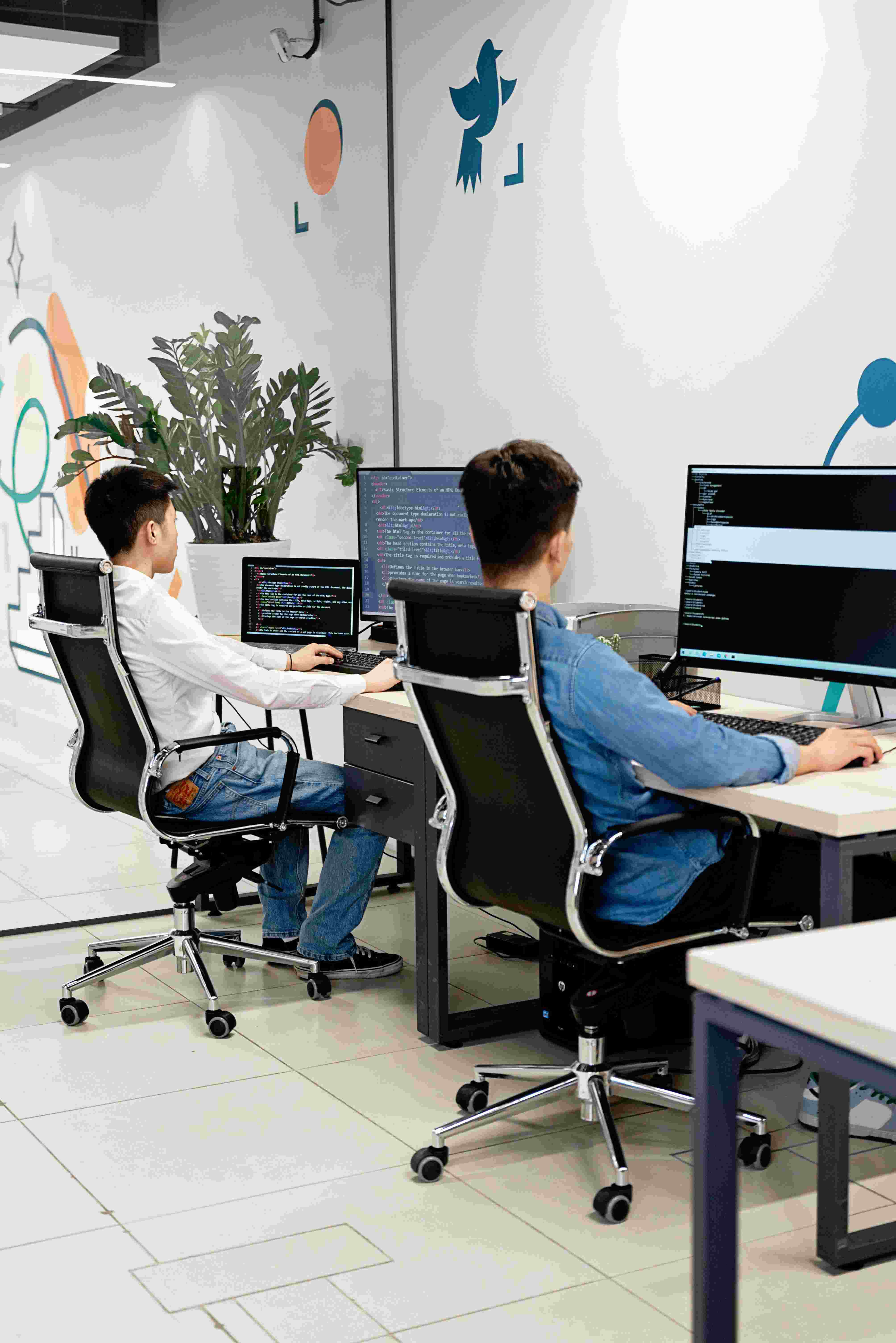 Programming team delivering software for Azerbaijan businesses